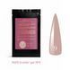 Sachet Builder Gel 15ml. №9 SSBGel15-09 фото
