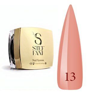 Steffani Builder Gel 13 (15мл) SBGel15-13 фото